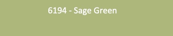 Paint swatch displays centered white text "6194 - Sage Green" against a uniform sage-green rectangular background.